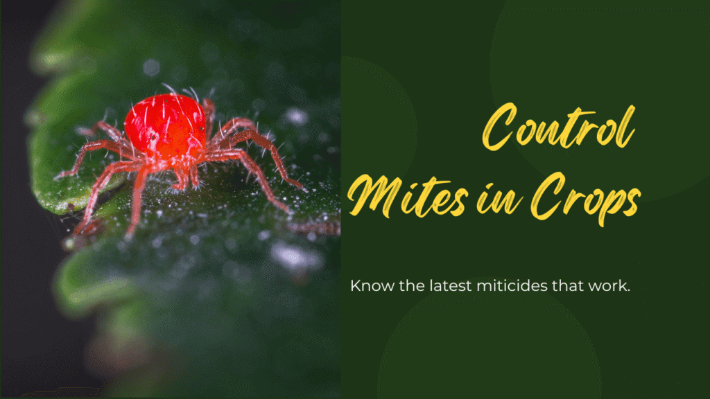 control mites in plants
