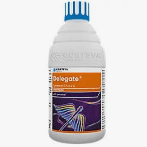 delegate