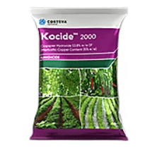 Kocide