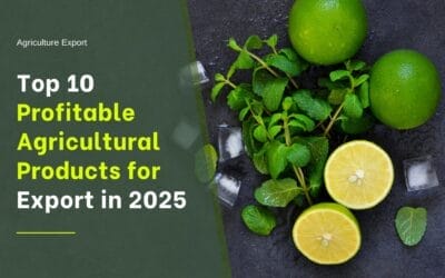 Top 10 Profitable Indian Agricultural Products for Export.