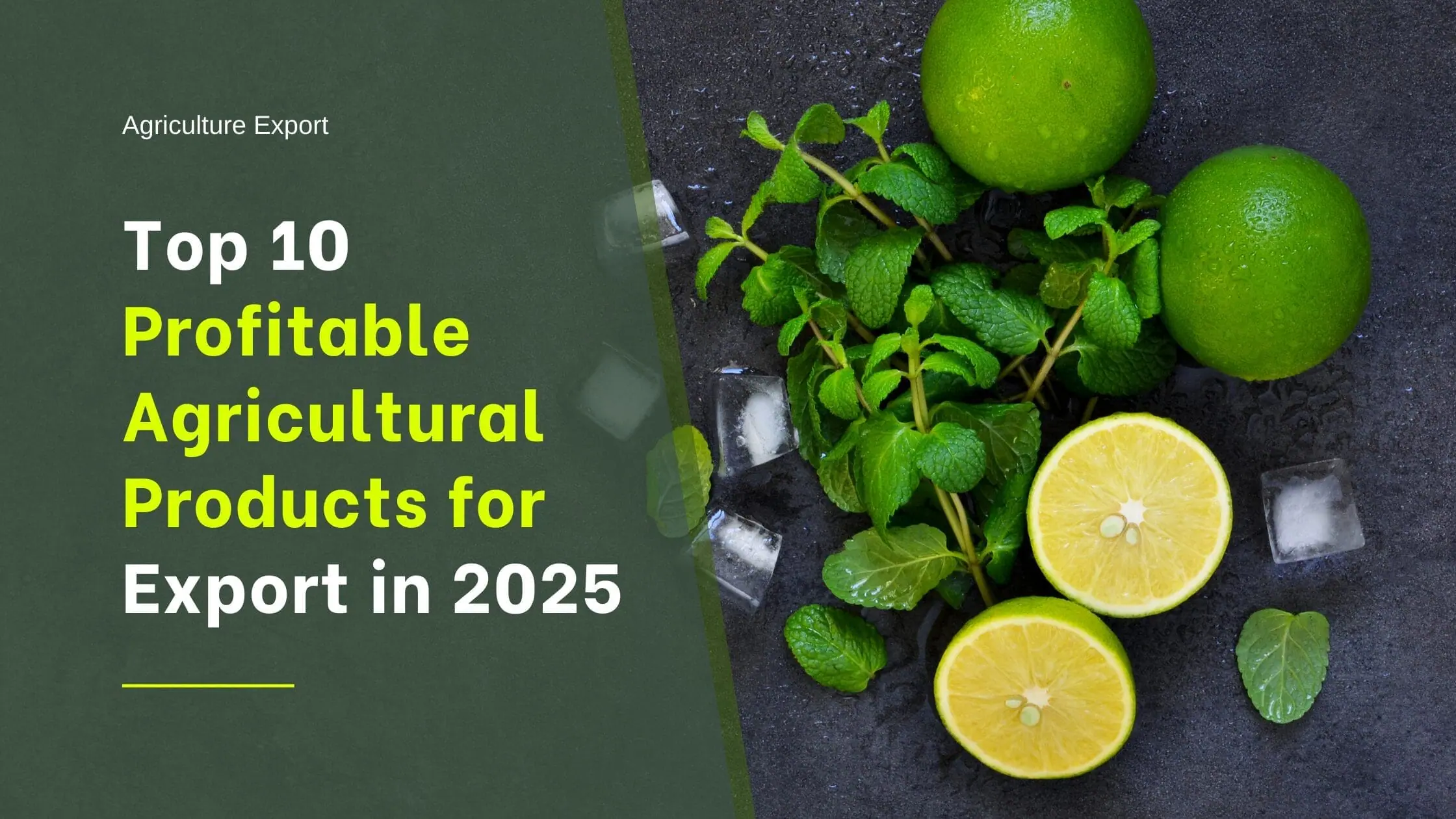 Top agriculture products for export