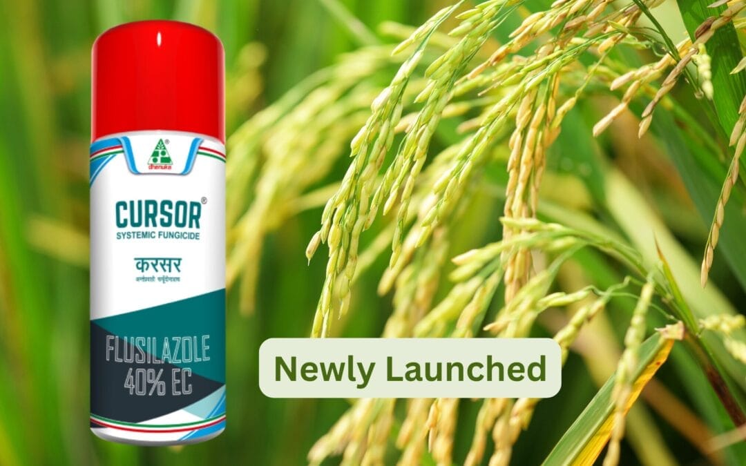 Cursor Fungicide: A Breakthrough in Powdery Mildew Control