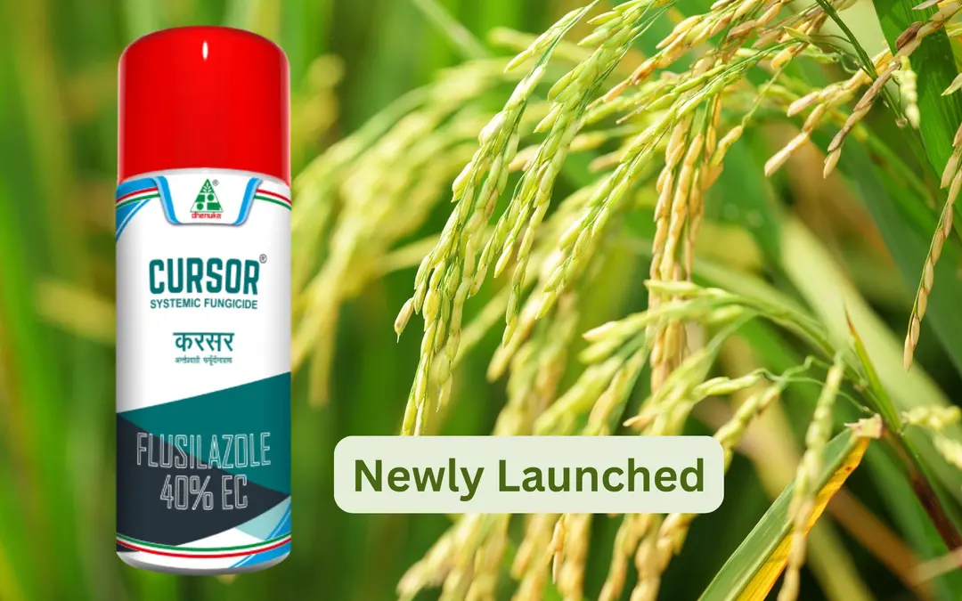 Cursor Fungicide: A Breakthrough in Powdery Mildew Control