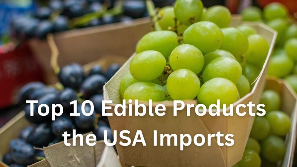 Top 10 Edible Products the USA Imports