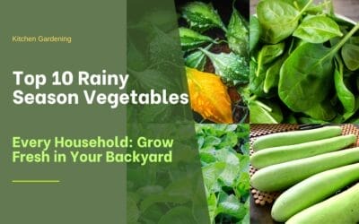 Top 10 Rainy Season Vegetables for Every Household: Grow Fresh in Your Backyard.