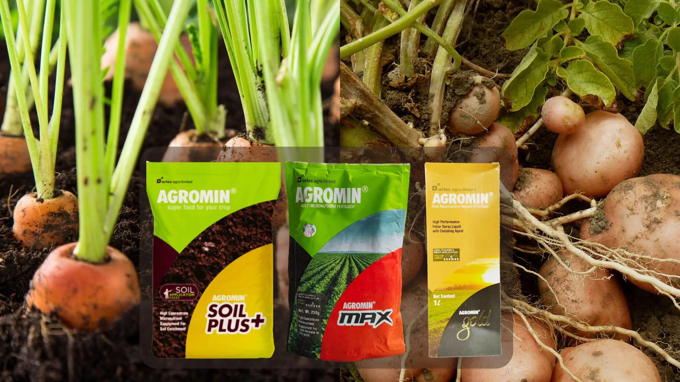 Aries Agromin
