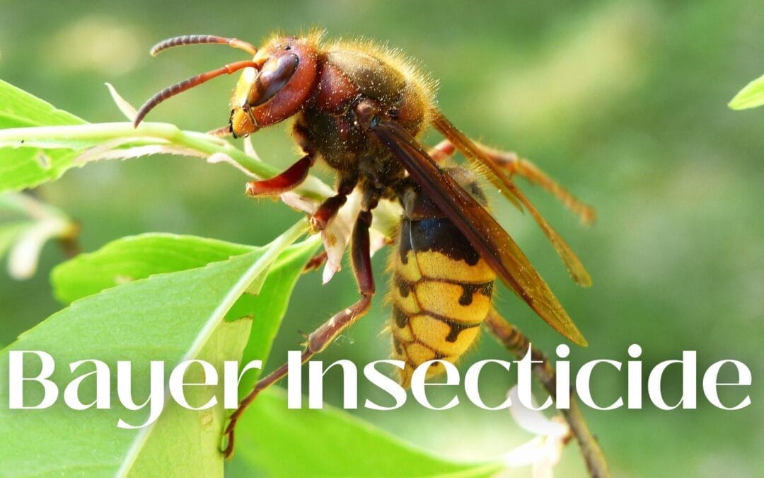 Bayer Insecticide