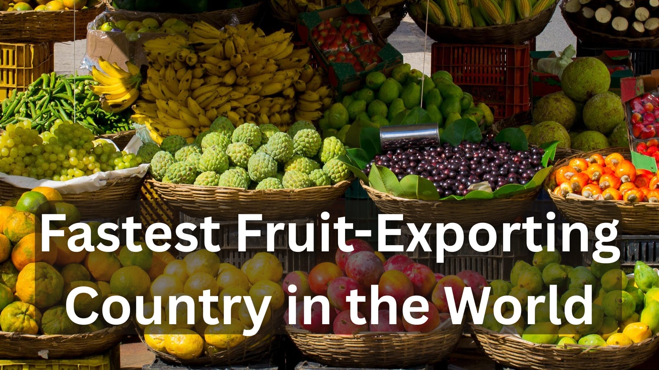 Fastest Fruit-Exporting Country in the World-Agritell.com