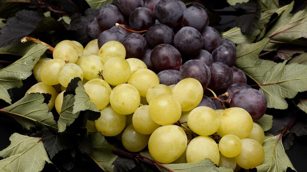 Grapes Benefits