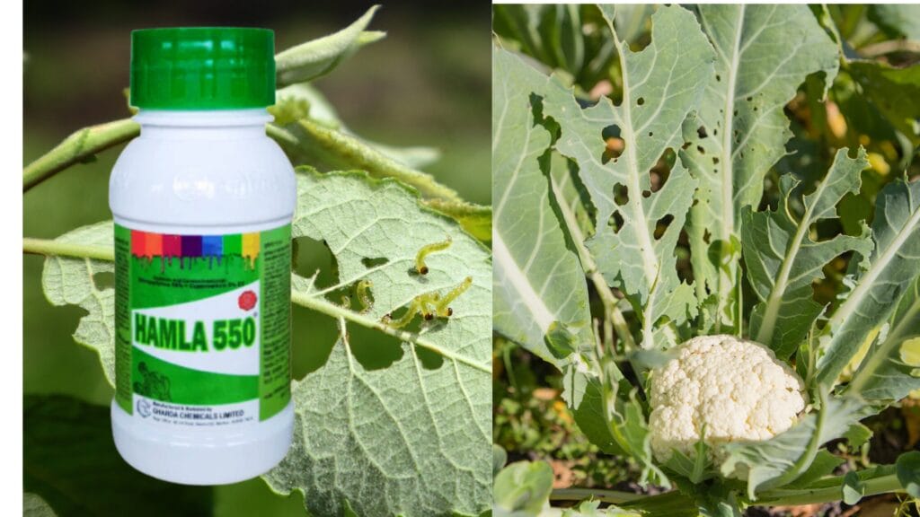 Hamla Insecticide