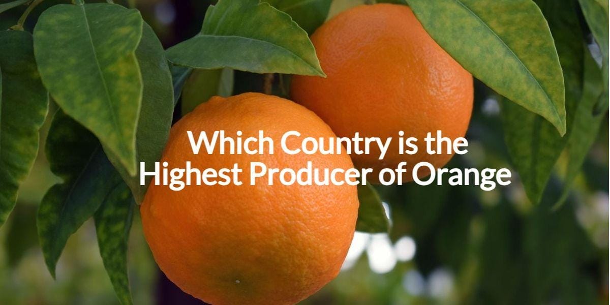 Higher orange producing country in the World