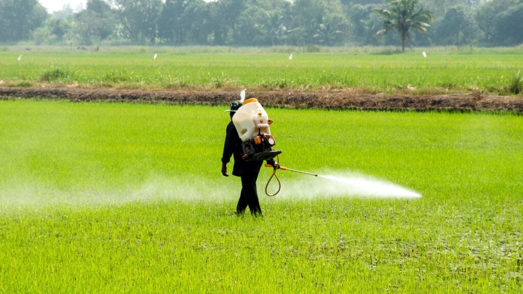 Punjab Govt. has banned some of the Insecticides