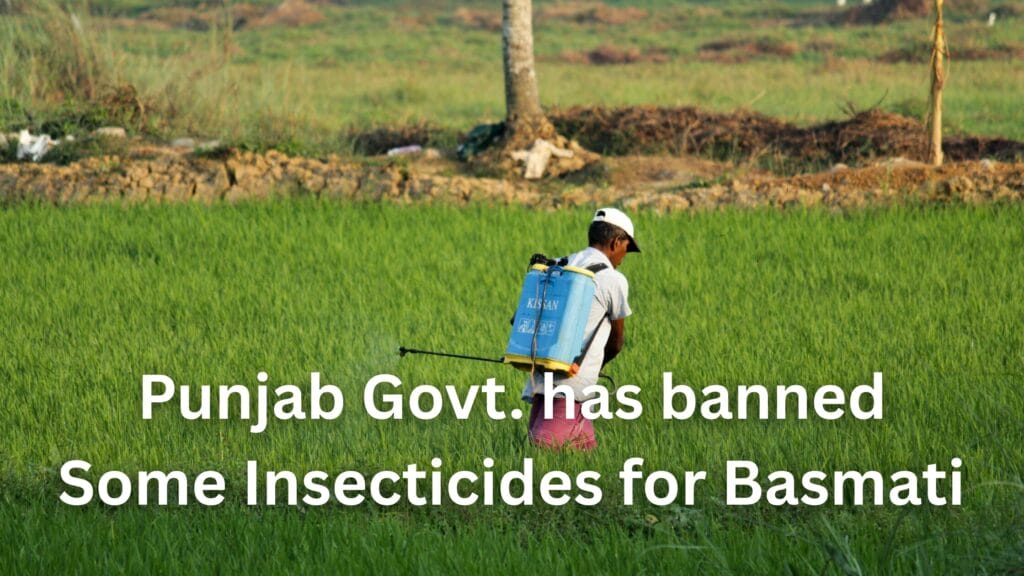 Punjab Govt. banned some insecticides for Basmati Paddy Cultivation