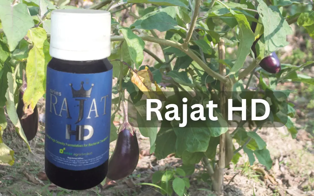 Rajat HD by Aries Agro: A Revolutionary Bactericide for Crop Protection.