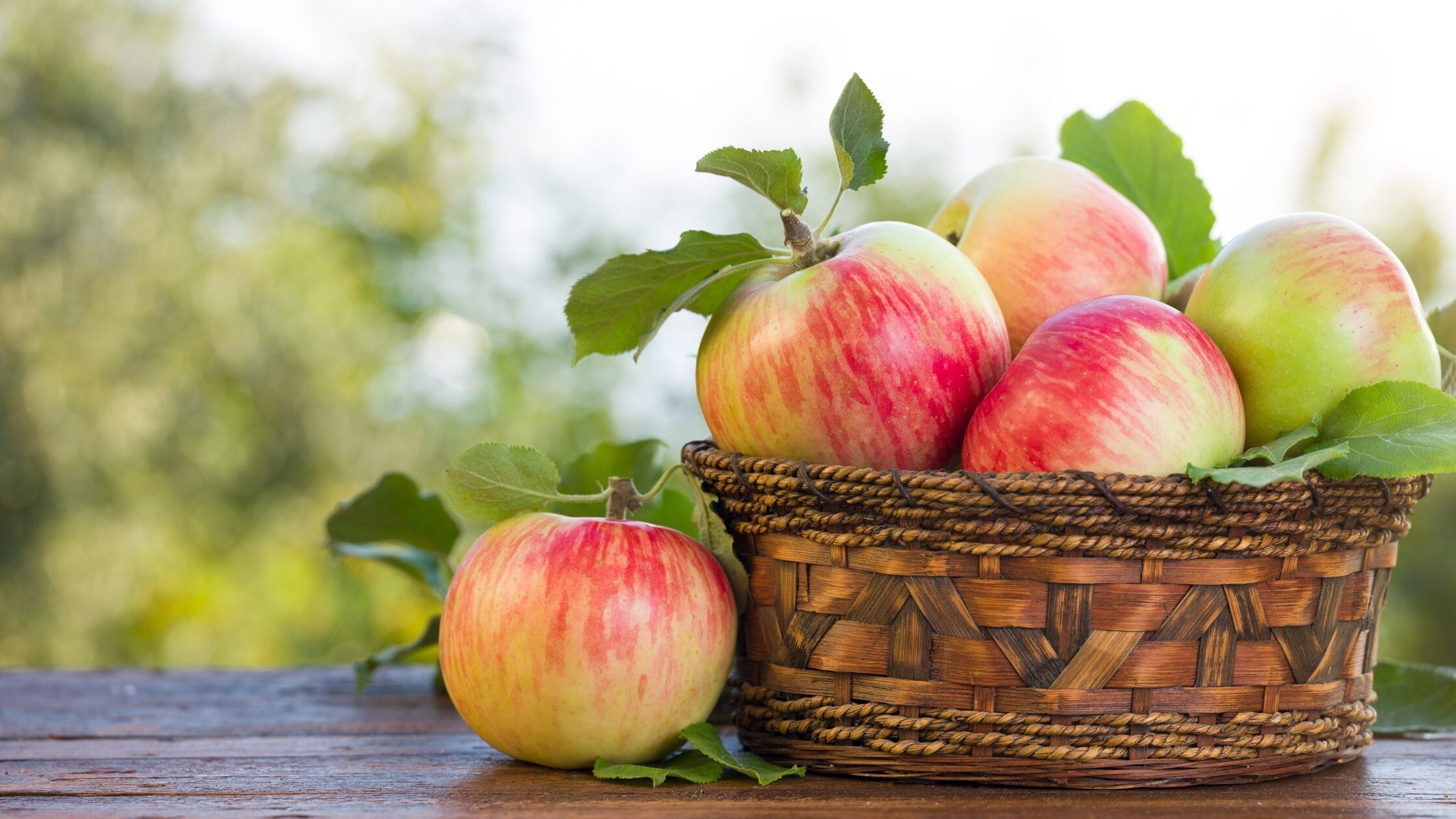 Top apple producing country in the world Top apple producing country in the world