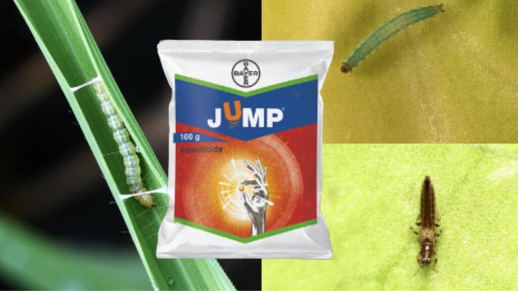 Jump Insecticide
