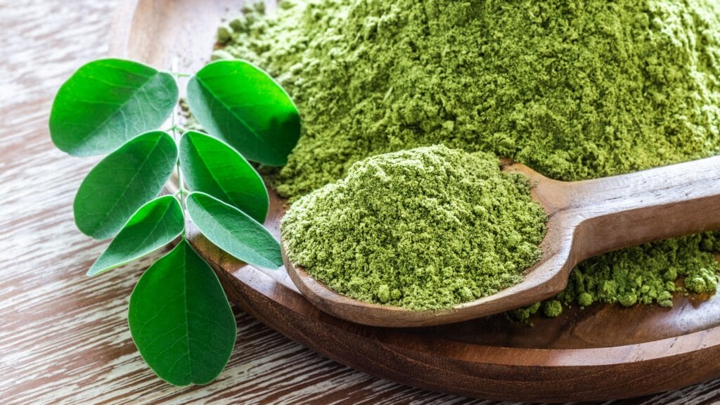 Moringa Powder Health Benefits