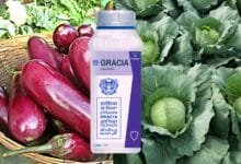 Gracia Insecticide