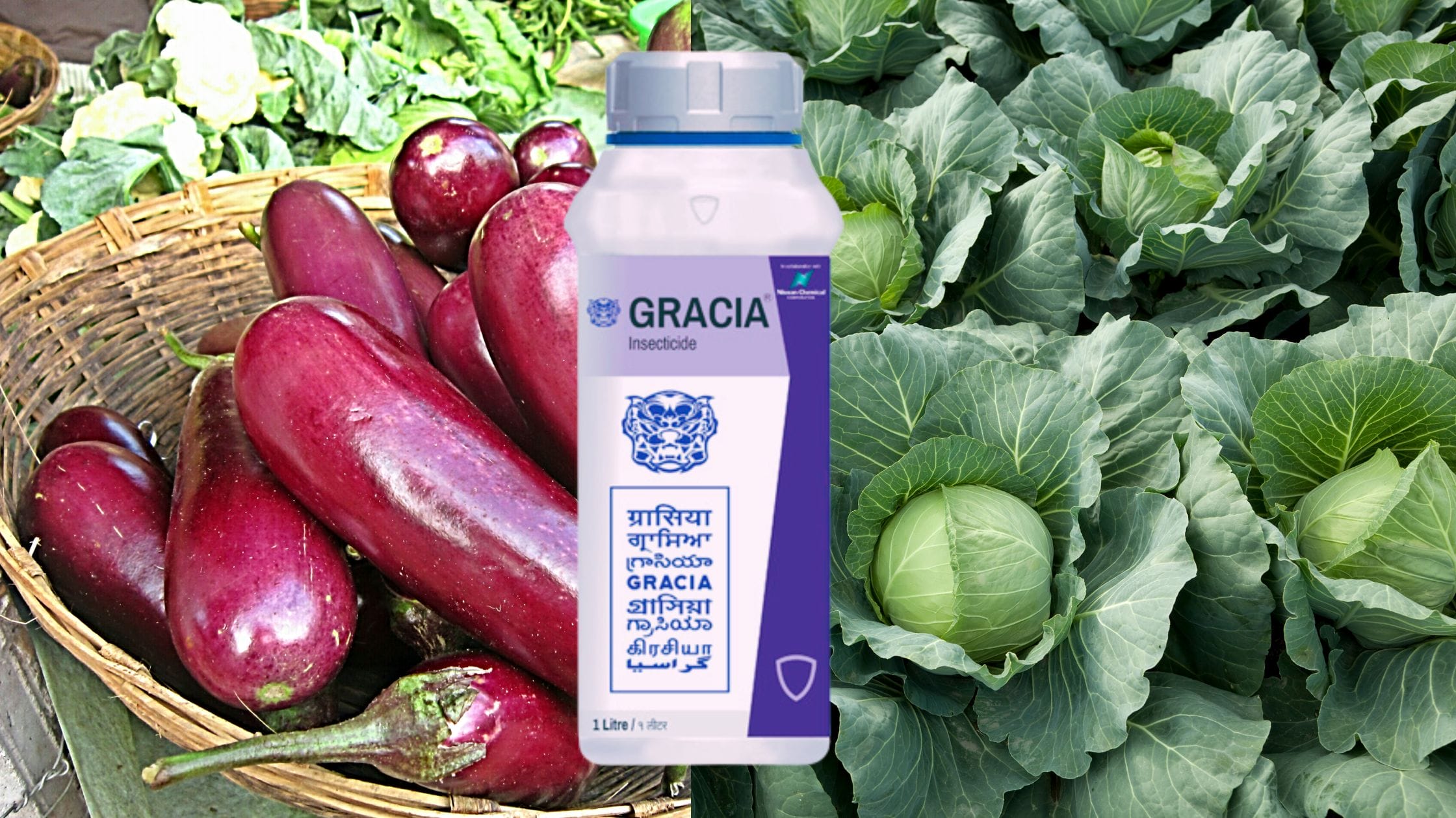 Gracia Insecticide