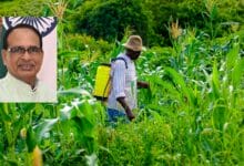 India Will Not Compromise Farmers' Interests in U.S. Trade Talks: Agriculture Minister