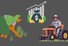 Agriculture Powers 15–20% of India’s Economy, Says Scientific Advisor Ajay Kumar Sood.