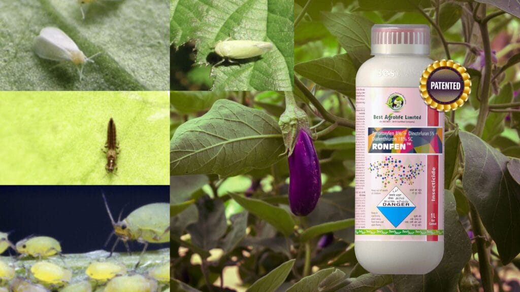ronfen insecticide