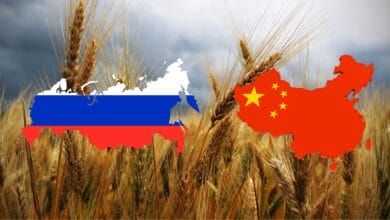 Russia’s Push to Expand Wheat Exports to China Stalls Over Winter Wheat Ban