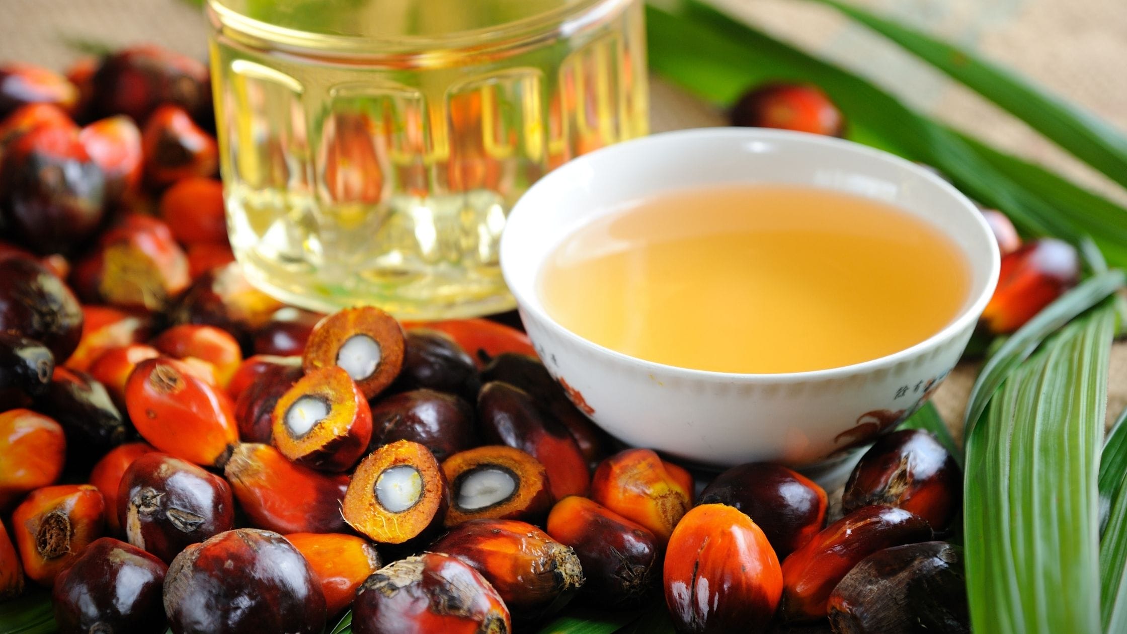 Telangana Urges Centre for ₹25,000 MSP on Oil Palm and Higher Import Duty