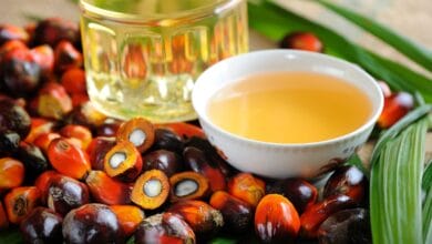 Telangana Urges Centre for ₹25,000 MSP on Oil Palm and Higher Import Duty