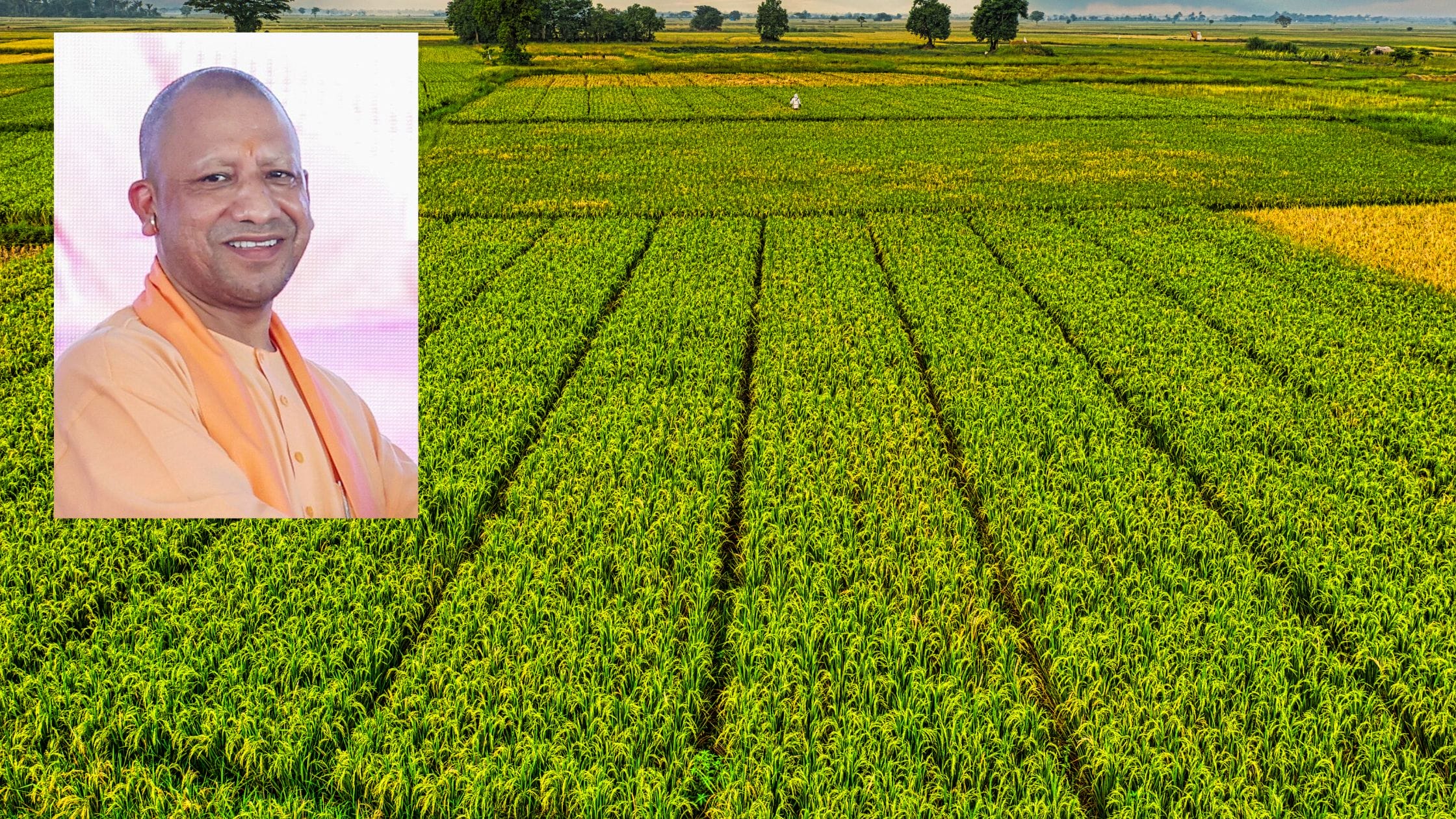 Uttar Pradesh Sets Bold Vision to Lead India in Agriculture by 2030, Join Global Leaders by 2047
