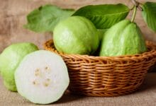 Which Country Is The Top in Guava Production?