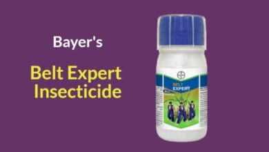 Belt Expert Insecticide