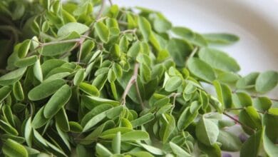 Moringa Leaves