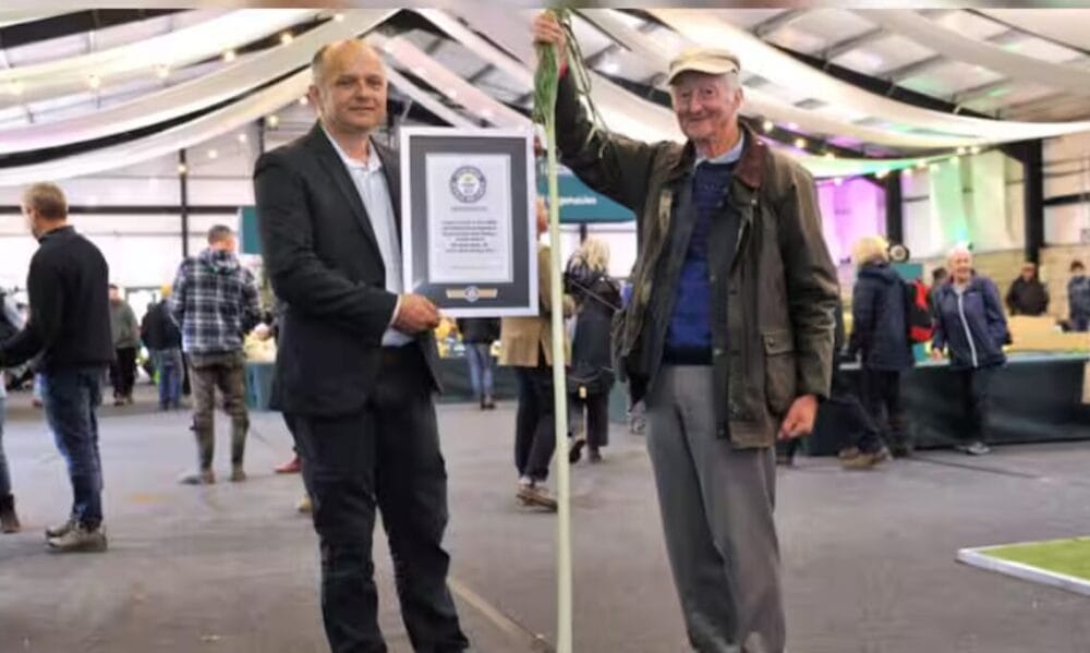 Longest Vegetable