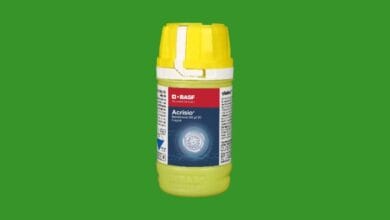 Acrisio® Fungicide