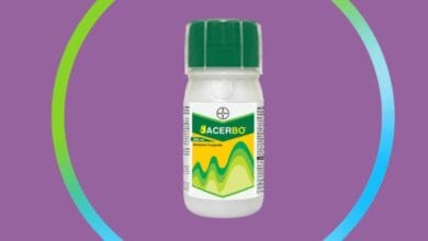 Bayer Acerbo Fungicide