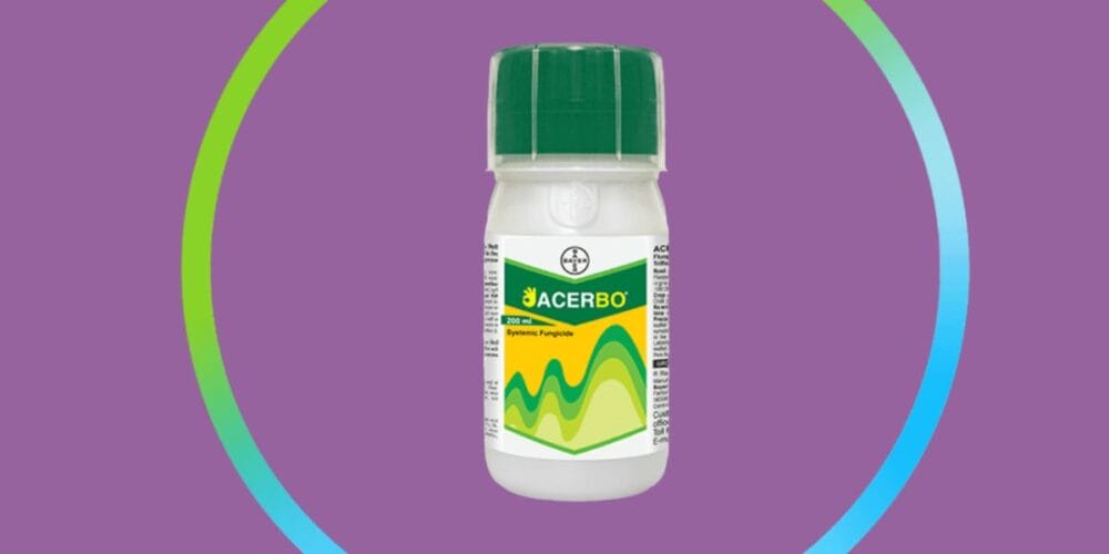 Bayer Acerbo Fungicide