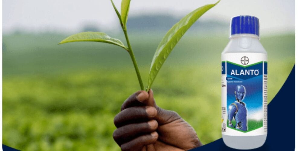 Bayer Alanto Insecticide
