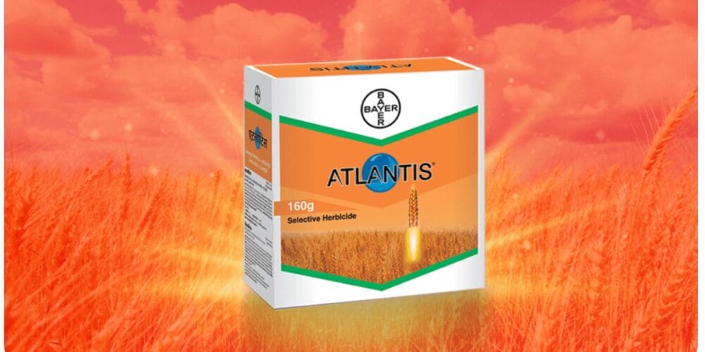 Bayer Atlantis Herbicide