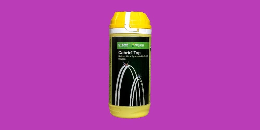 Cabrio® Top Fungicide