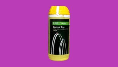 Cabrio® Top Fungicide