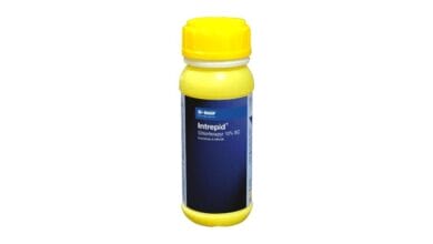 Intrepid Insecticide