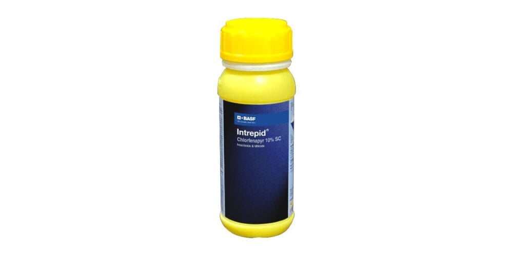 Intrepid Insecticide