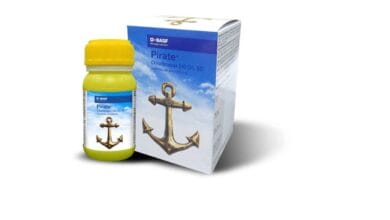 Pirate Insecticide