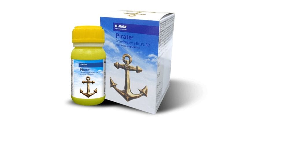 Pirate Insecticide