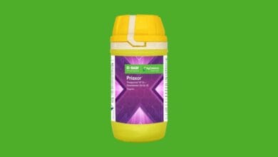 Priaxor Fungicide