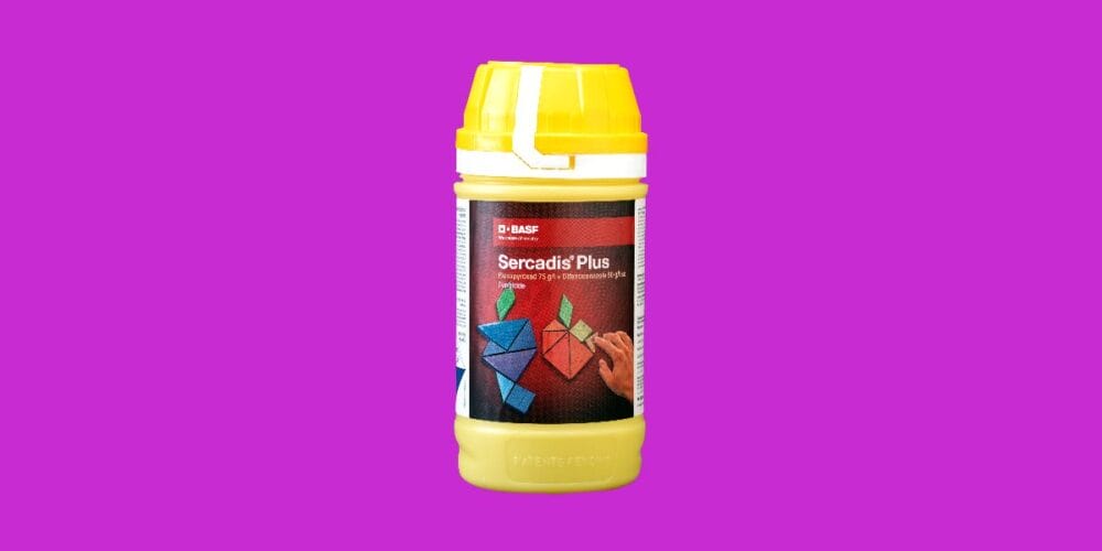 Sercadis® Plus Fungicide