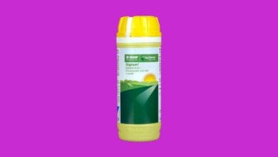Signum Fungicide