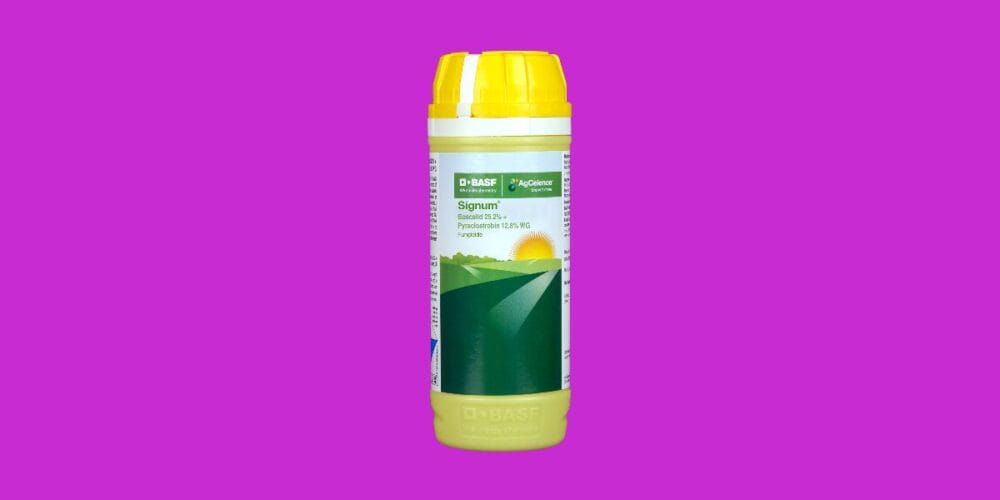 Signum Fungicide