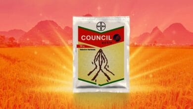 Bayer Council® Activ Herbicide